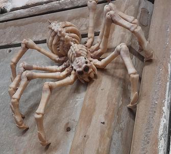 LEONARDZ3D – FLEXI PRINT-IN- PLACE SKELETON SPIDER – HALLOWEEN