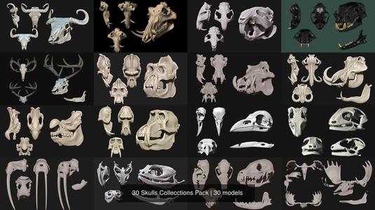 30 Skulls Collecctions Pack 3D Model Collection