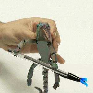 Articulated Chameleon