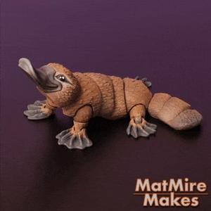 Platypus Articulated Fidget Figure, 3mf included, cute flexi