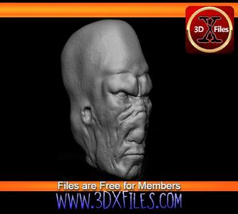Star wars 1:6 Scale Head Sculpt – 1/6th Munn Alien – Black Series – Hottoys – 1:12 and 1:6 Scale- Ac
