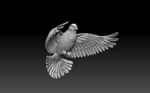 dove 2 flying in sky