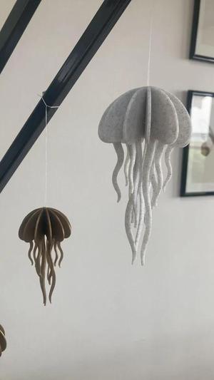 Jellyfish model