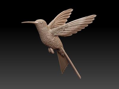 colibri humming bird