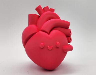 Anatomical Happy Heart