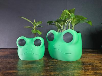 Froggy Planter Pot