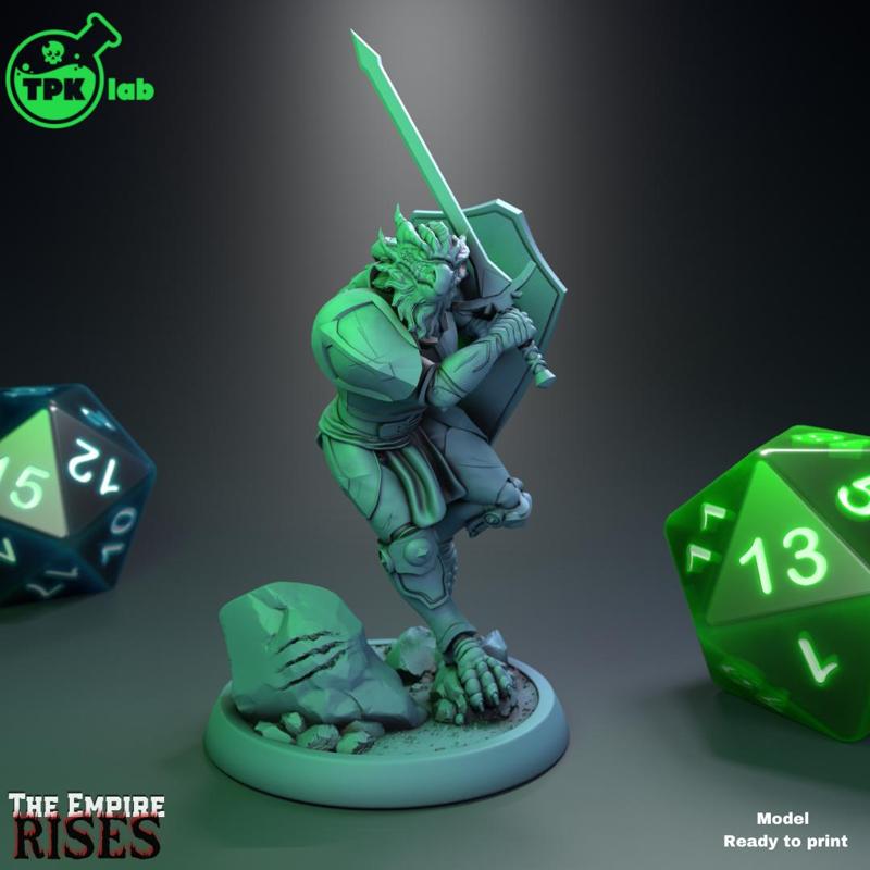 Valkeen, Dragonborn Paladin