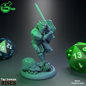 Valkeen, Dragonborn Paladin