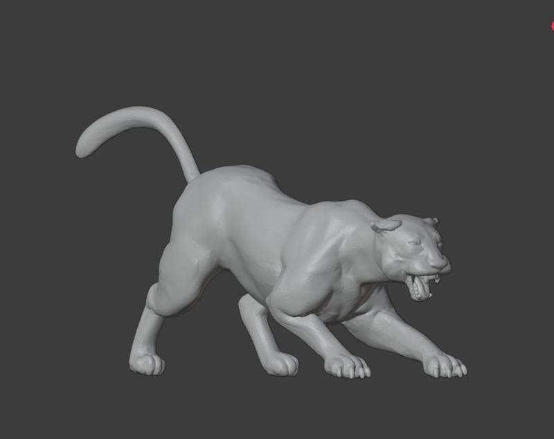 Mountain lion