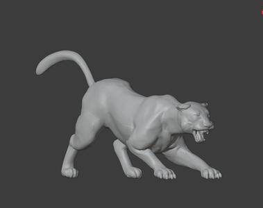 Mountain lion
