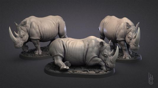 Rhinoceroses Three poses