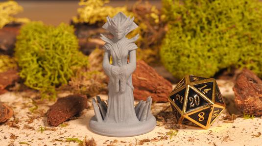 Head Enchantress – Tabletop Miniature