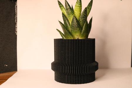 Spiral Planter