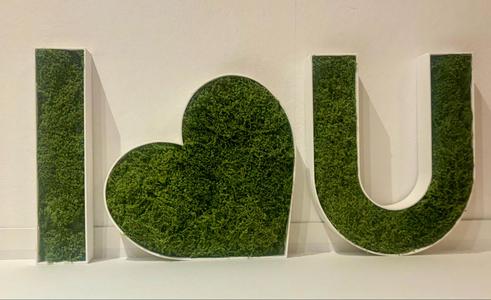 I love you moss letters