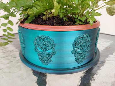 Fuzzy Skull Planter Set