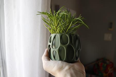 Voro Planter