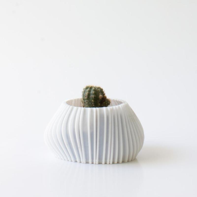 Small asymmetrical organic planter
