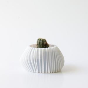 Small asymmetrical organic planter