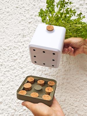 Cork Planter