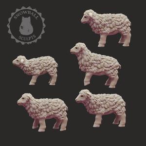 Lamb Set