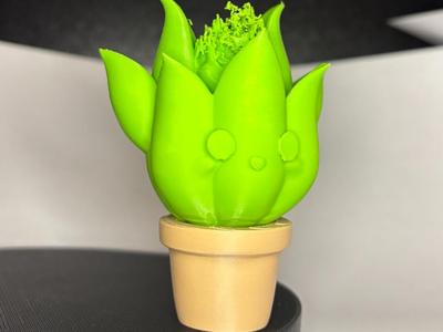 Aloe Vera Plant Mascot