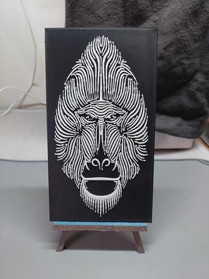 Baboon Portrait 1