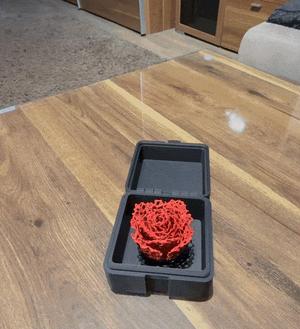 ETERNAL FLOWERS IN A BOX / PRINT IN PLACE BOX 