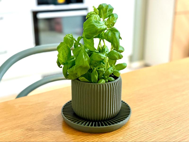 Small Self Watering Planter Pot