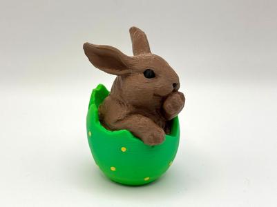 Easter Bunny Hatchling