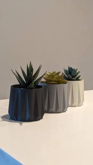 Minimalist Succulent Planters – Geometric