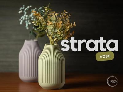 strata · vase