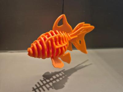 3D Goldfish puzzle   