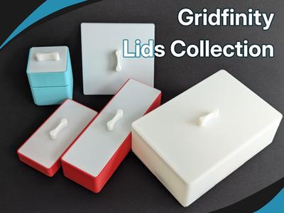 Gridfinity Bin Lids with Handle for a Cleaner Look