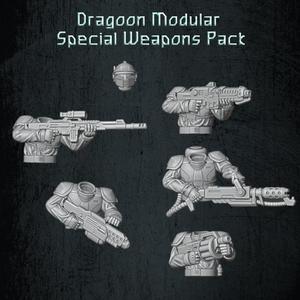 Dragoon Modular Special Weapons Pack