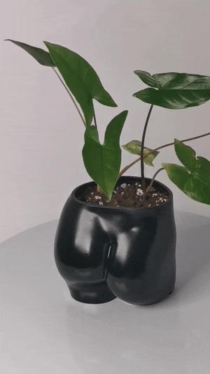 FREE WOMAN BUTT PLANTER | 3D PRINT FILE STL PLANTER MODEL FEMALE