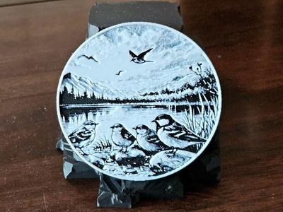 Lakeside Birds - Design Coaster   