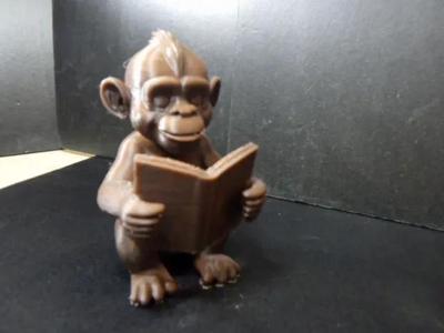 A cute baby Gorilla reading a book.   