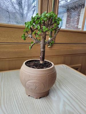 Carved Planter