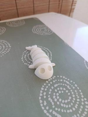 Flexi fish   