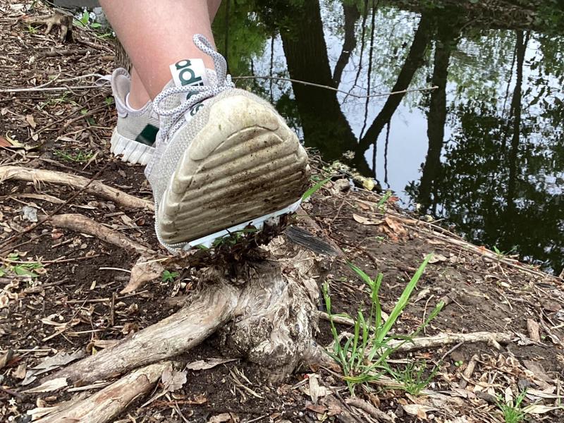 Shoe Spears