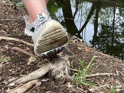 Shoe Spears