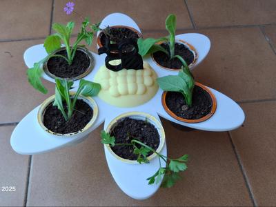 Dolcegusto Flower