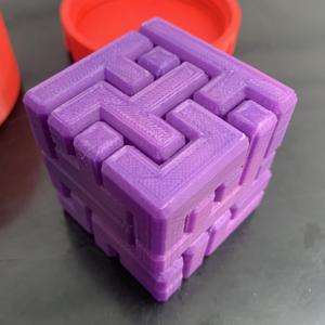 Cube in a Container Puzzle 1