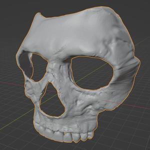 CoD_MWII_Ghost_Mask