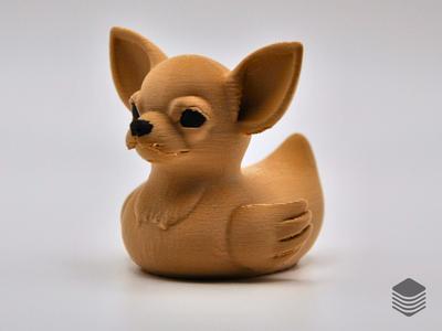 Chihuahua Duck