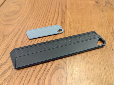 Pocket Caliper