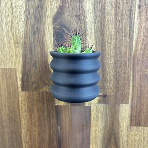 Wavecura – Planter Pot (Wall mount & Table Top)