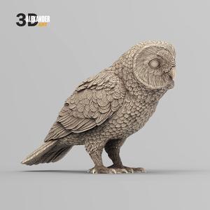 Short-eared Owl