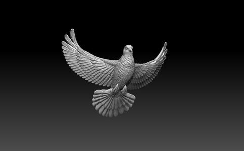 dove 1 flying