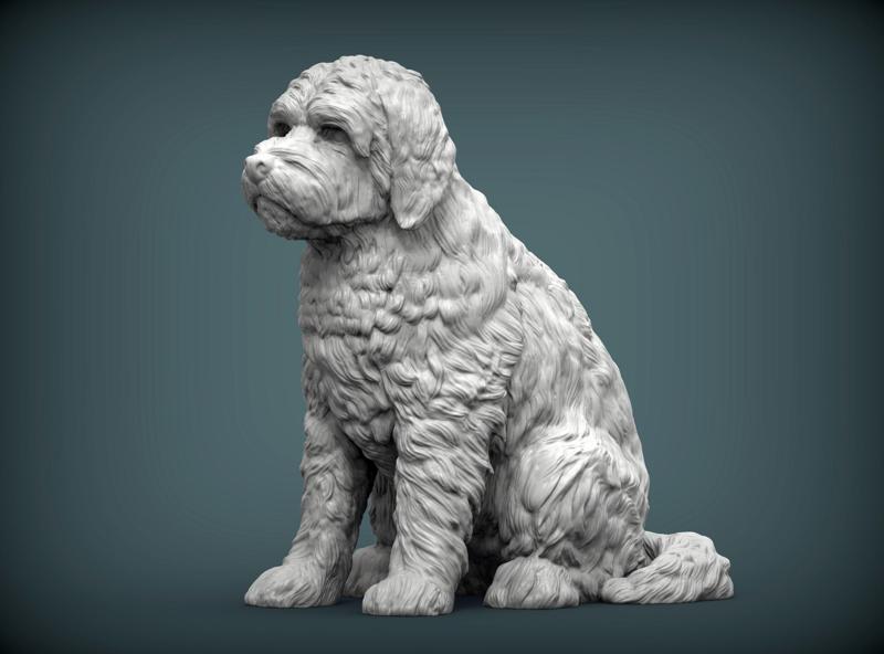 GoldenDoodle dog